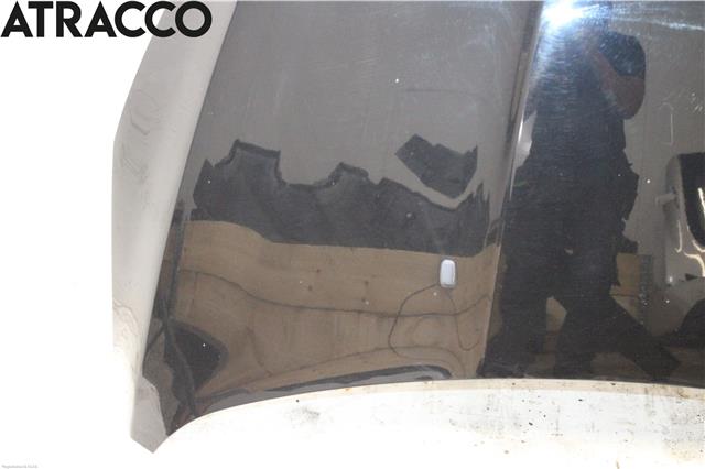 Panser til Ford Focus 2014-2018 (Type III, Fase 2)  (1797477|)
