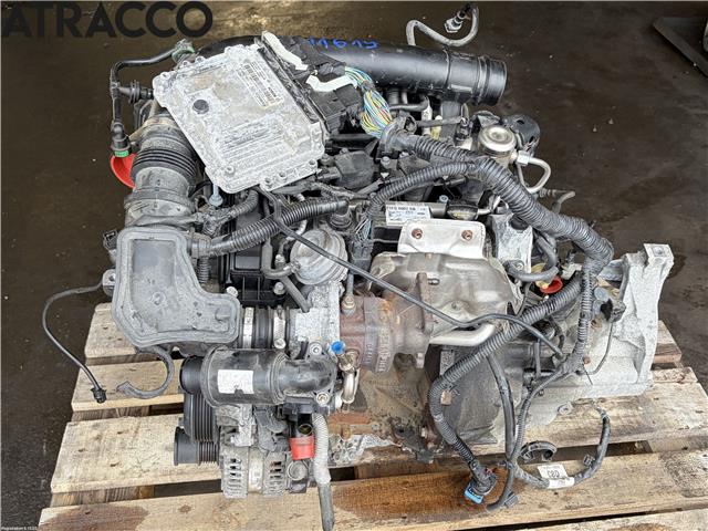 Motor bensin til Ford Focus 2014-2018 (Type III, Fase 2)  (1897601|)