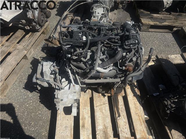 Motor diesel til Ford Fiesta 2008-2012 (Type VI, Fase 1)  (1696520|)
