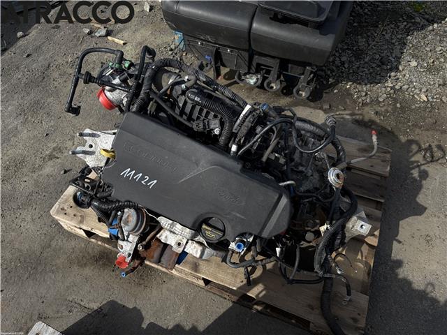 Motor bensin til Ford Focus 2011-2014 (Type III, Fase 1) (1857849|)