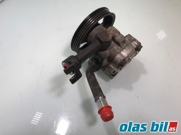 Servo pumpe mekanisk til Nissan Pathfinder 2005-2010 (Fase 1) (R51) (R51) (491103X01A|)
