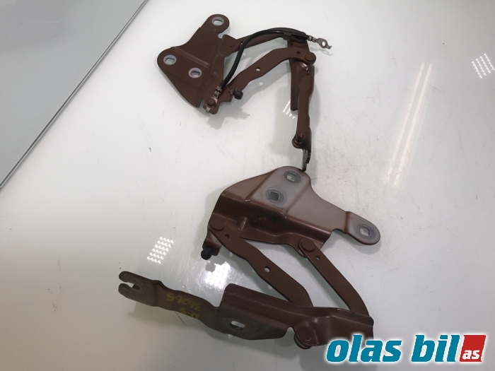 Panserhengsler til BMW X1 2009-2015 (E84) (E84) (41;41 00 2 993 149||2 990 359;2 990 36)