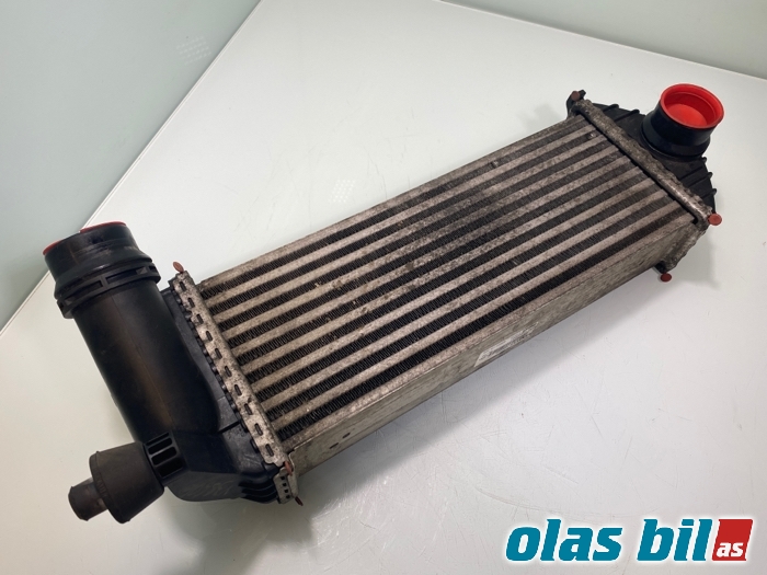 Intercooler til Mercedes Citan 2012-2021 (W415) (W415) (A 415 090 01 14||144963234R)