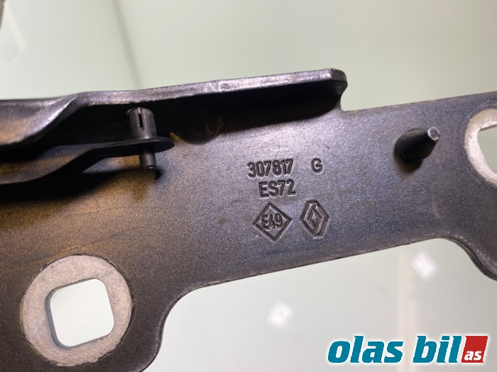 Panserhengsler til Renault Clio 2006-2009 (Type III, Fase 1) (8200719034|)