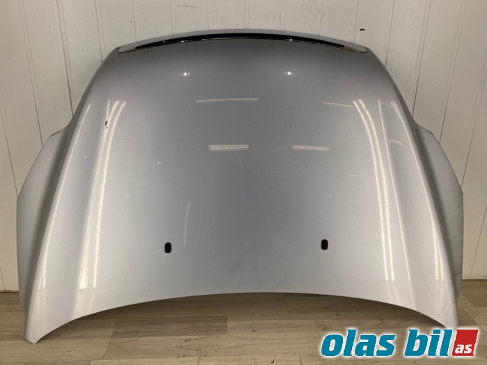Panser til Ford Focus 2008-2010 (Type II, Fase 2) (1521601|)