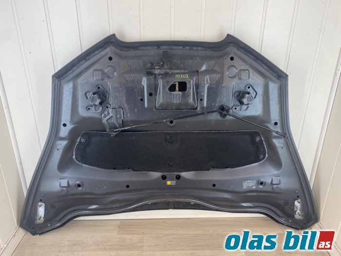 Panser til Nissan Leaf 2011-2017 (Type I)  (F51003NLMA|)
