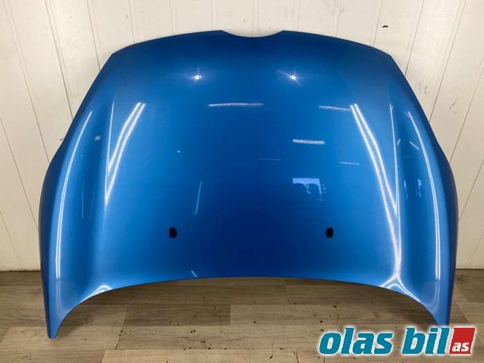 Panser til Ford Fiesta 2008-2012 (Type VI, Fase 1) (1774791|)