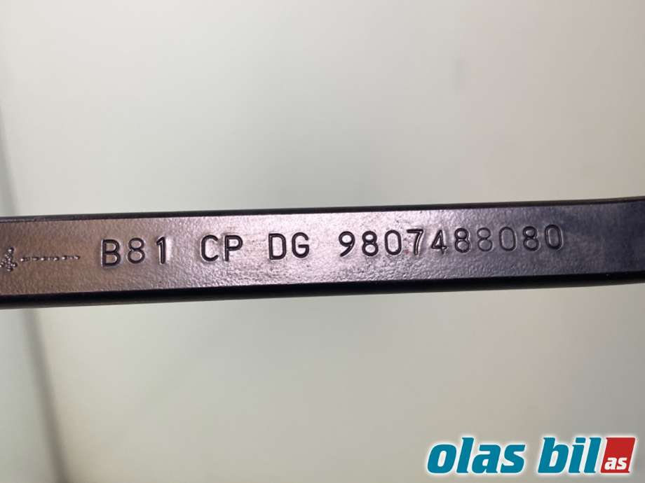 Viskerarmer frontrute til Citroën DS5 2012-2017  (CITROEN|16 072 245 80||98 074 880 80)