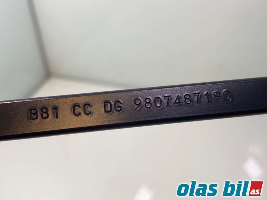 Viskerarmer frontrute til Citroën DS5 2012-2017  (CITROEN|16 072 197 80||98 074 871 80)