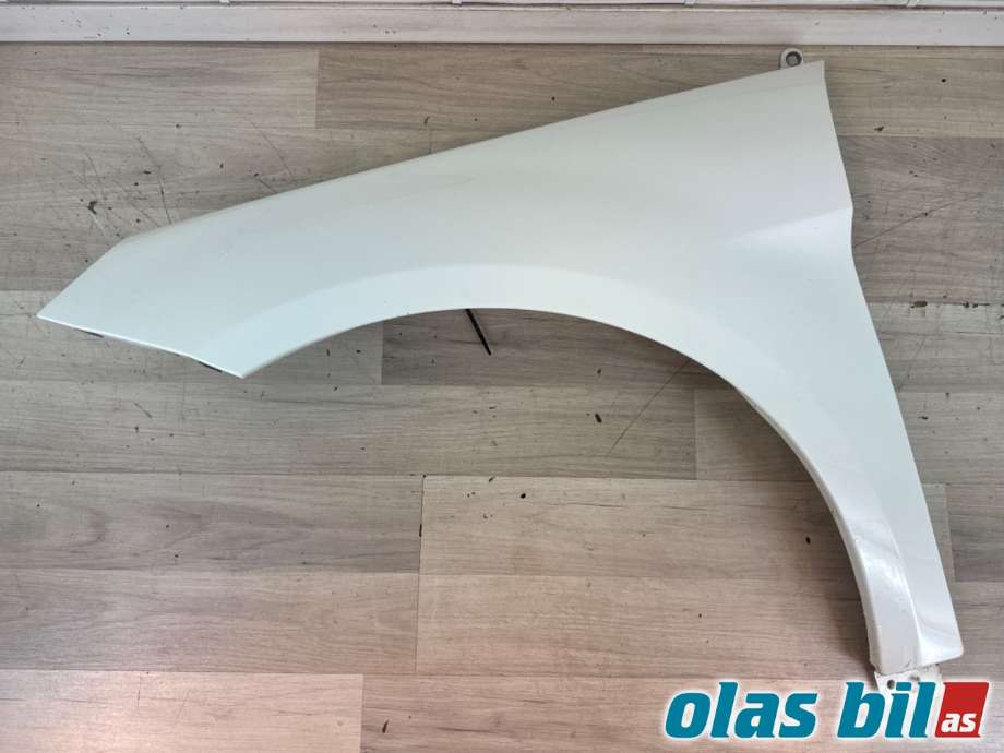 Skjerm venstre foran til Mercedes B-Klasse, 2008-2011 (Fase 2) (W245) (W245) (MERCEDES|A 169 880 09 18)